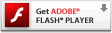 flash player